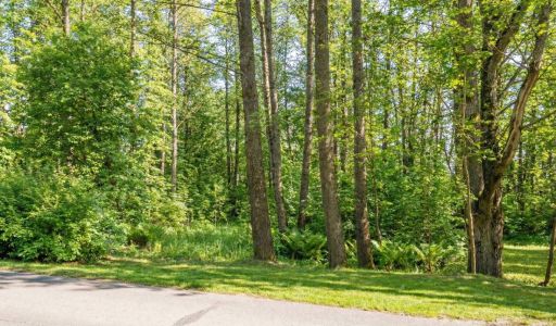 Лесной участок в КП Чистые пруды