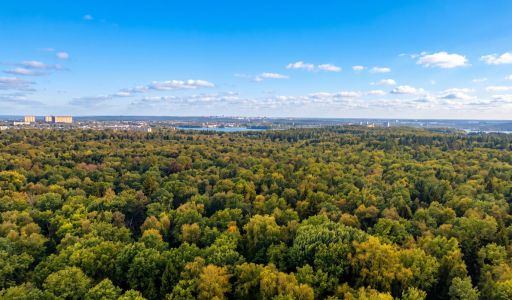 Современный дом у леса в Грибках