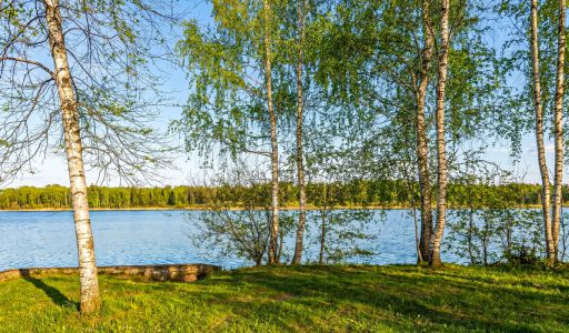 Дом в Конаково на 1 линии воды