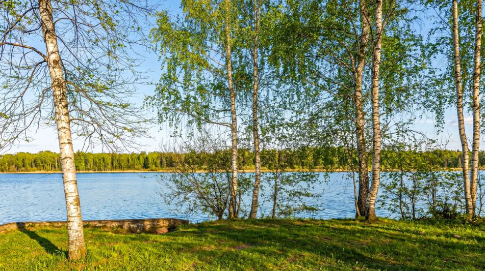 Дом в Конаково на 1 линии воды