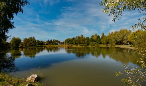 Дом в КП Миллениум парк