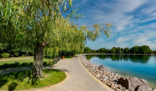 Дом в Миллениум парк под отделку