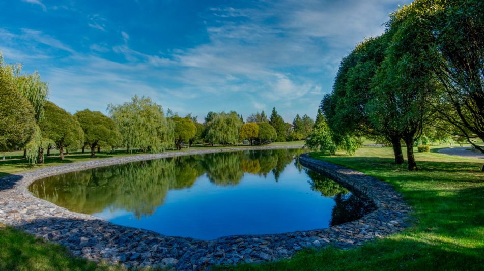 Дом в аренду в Миллениум парке