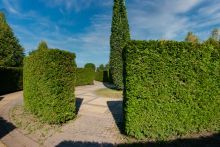 Дом под отделку в Миллениум парк