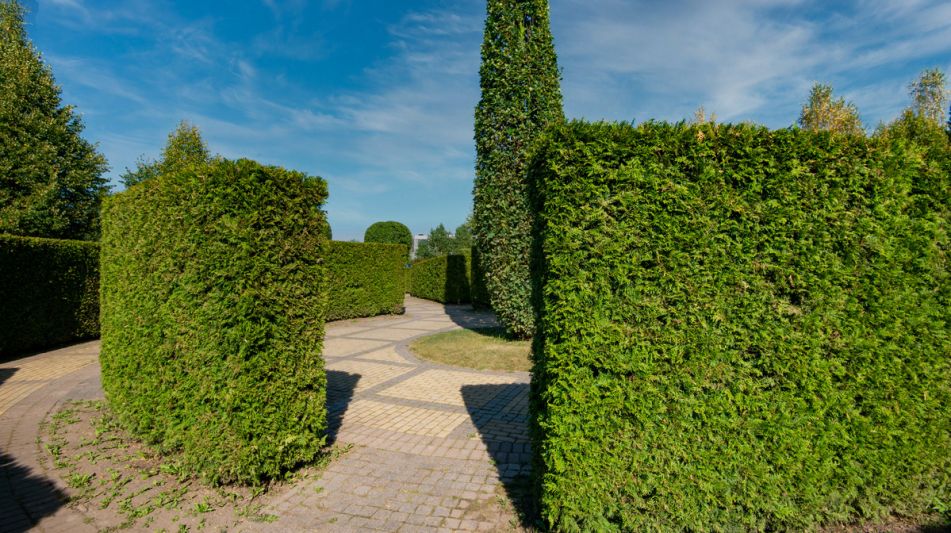 Дом под отделку в Миллениум парк