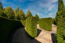 Участок в КП 