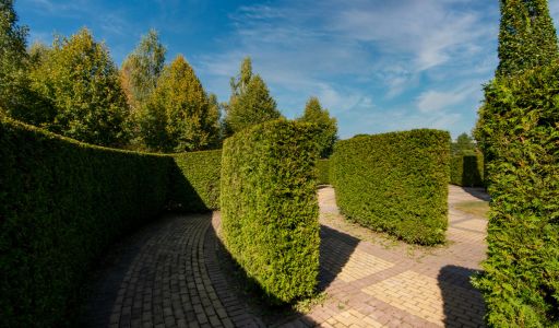 Участок в КП 