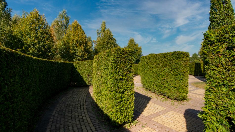 Участок в КП 