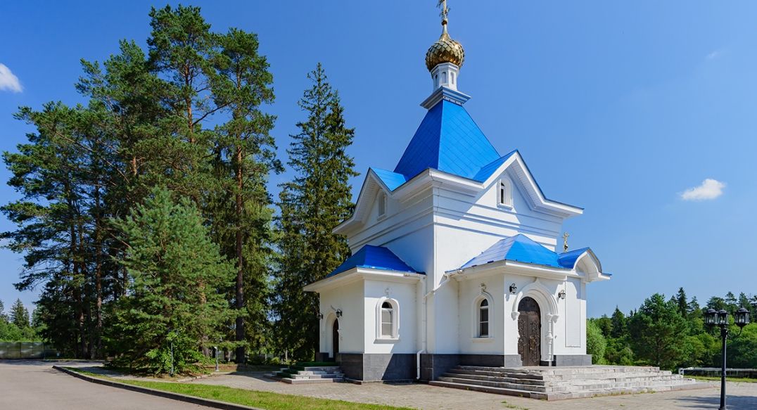 Гусёнки