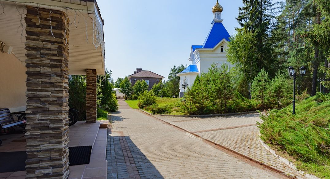 Гусёнки