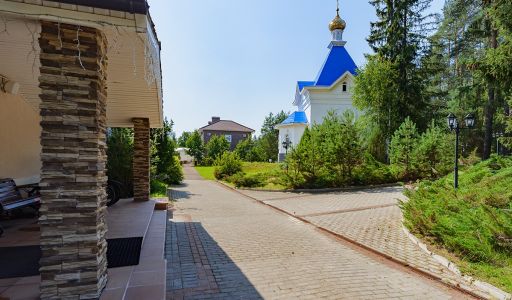 Гусёнки
