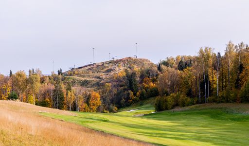 Целеево