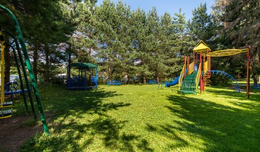 Чароит (Ватутинки)