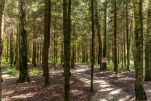 Дом под ключ в КП Благовещенка