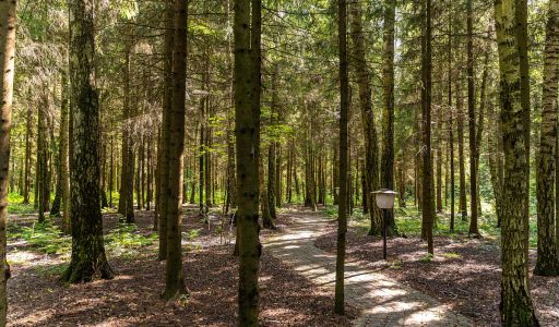 Дом под ключ в КП Благовещенка
