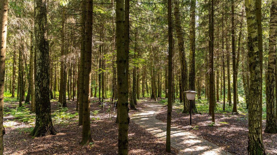 Дом под ключ в КП Благовещенка