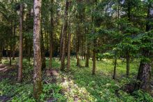 Дом под ключ в КП Благовещенка