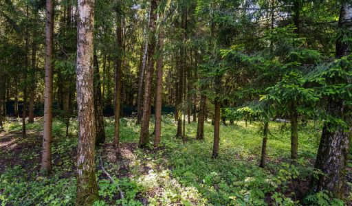 Дом под ключ в КП Благовещенка