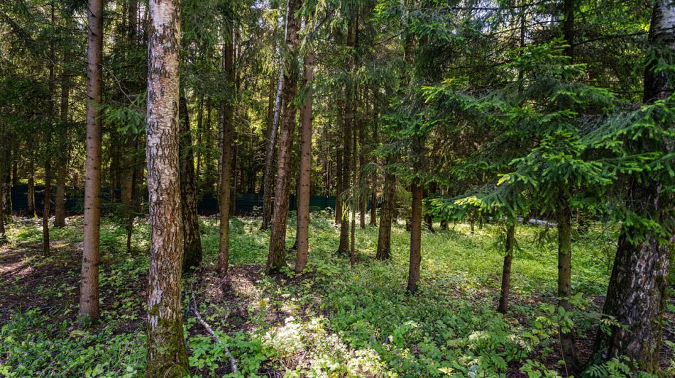 Дом под ключ в КП Благовещенка