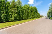 Резиденция в КП Вешки