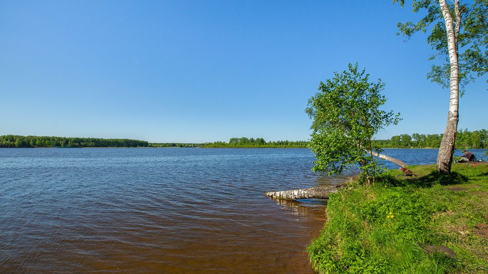 Видовой прилесной участок Аврора