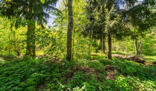 Усадьба в лесу в Таганьково