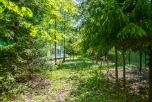 Усадьба в лесу в Таганьково