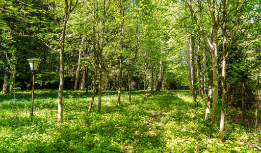 Усадьба в лесу в Таганьково