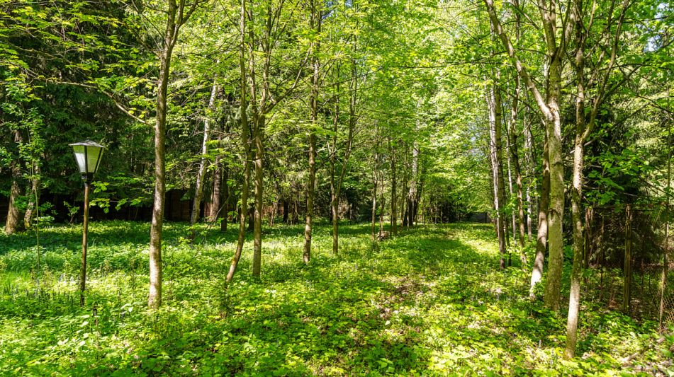 Усадьба в лесу в Таганьково