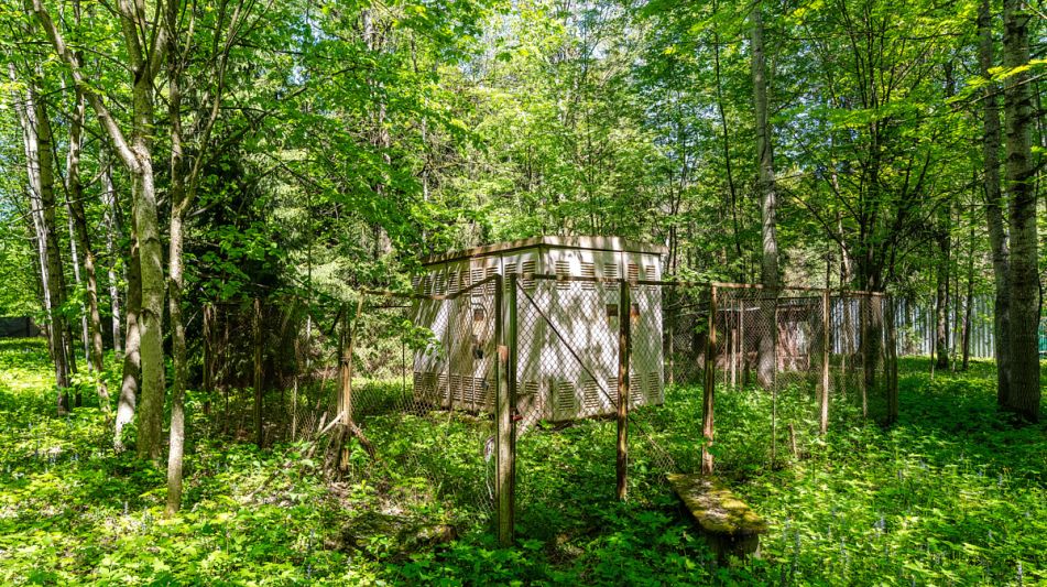 Усадьба в лесу в Таганьково