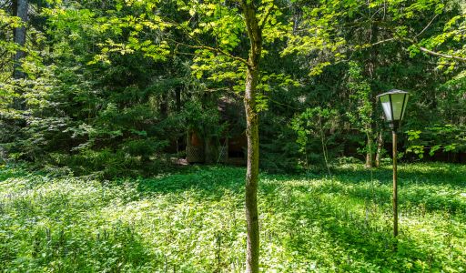 Усадьба в лесу в Таганьково