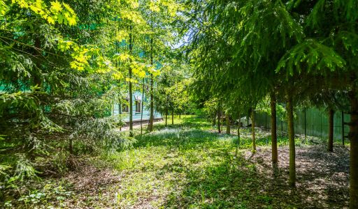 Лесной участок в Таганьково