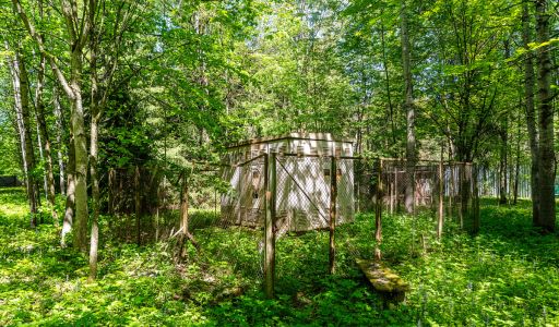 Лесной участок в Таганьково