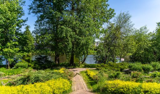 Лесной участок в КП Риверсайд