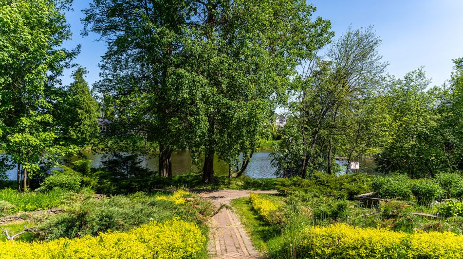 Лесной участок в КП Риверсайд