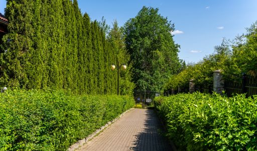 Лесной участок в КП Риверсайд