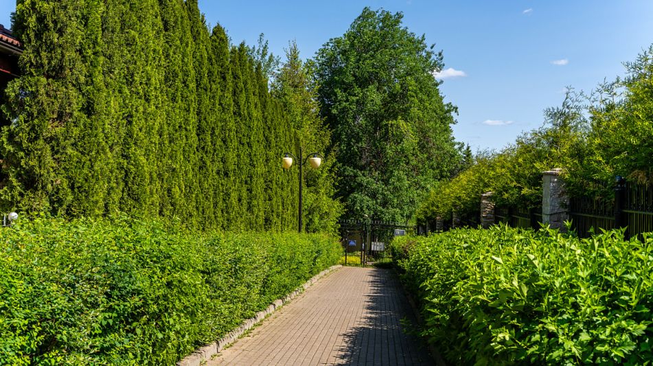 Лесной участок в КП Риверсайд