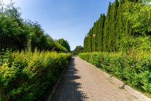 Лесной участок в КП Риверсайд