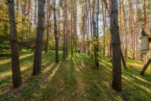 Участок у воды в Лобаново