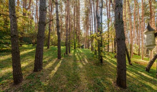 Участок у воды в Лобаново