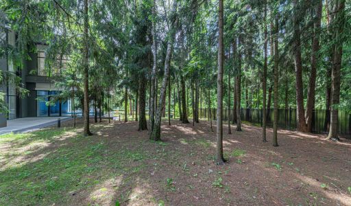 Дом с бассейном в Ренессанс парк