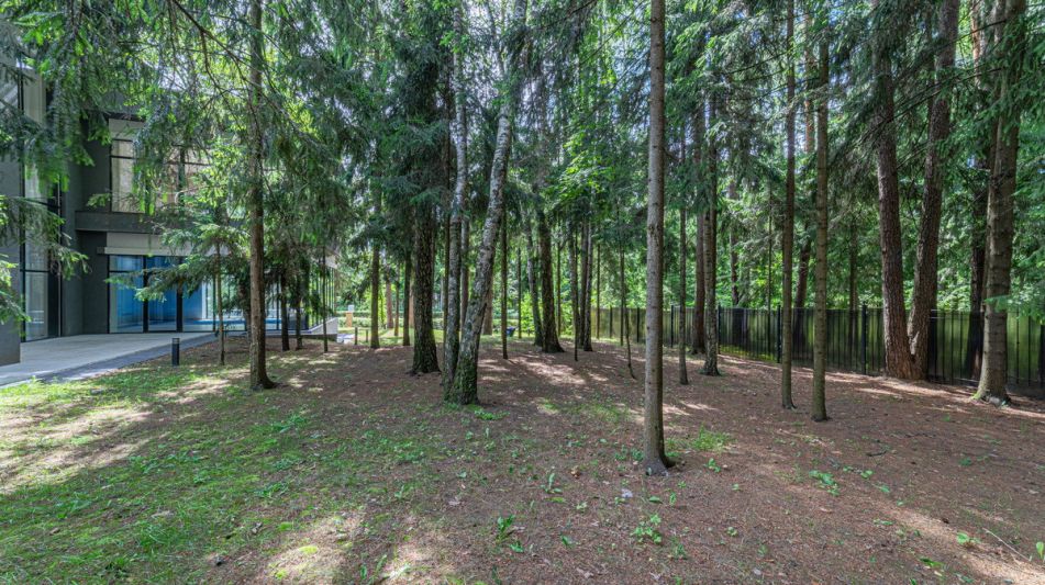 Дом с бассейном в Ренессанс парк