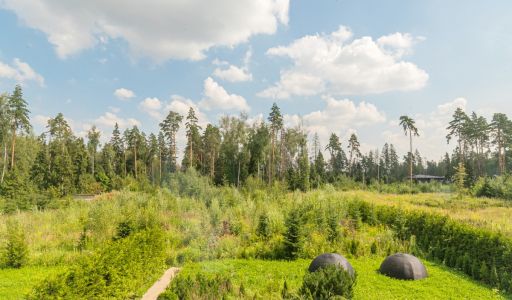 Новый дом в Николо-Урюпино