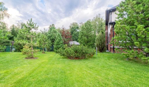 Прилесной дом в Новых Вешках