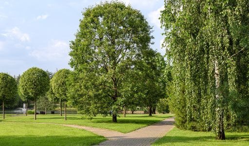 Покровский