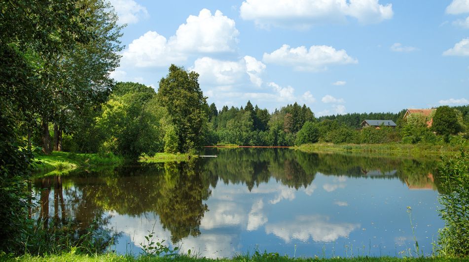 Дом у леса в поселке Риверсайд