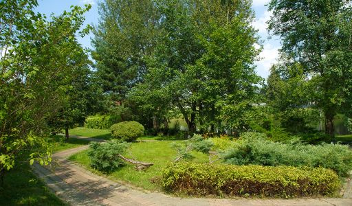 Дом у леса в поселке Риверсайд