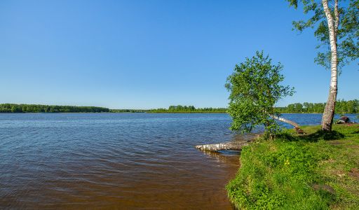 Прилесной участок в КП 