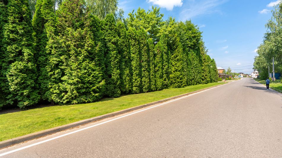 Современный таунхаус в КП Вешки-2