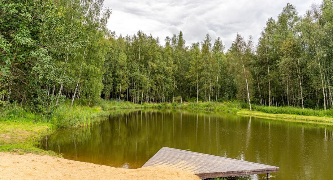 Деревня Долгиниха